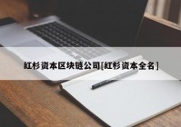 红杉资本区块链公司[红杉资本全名]